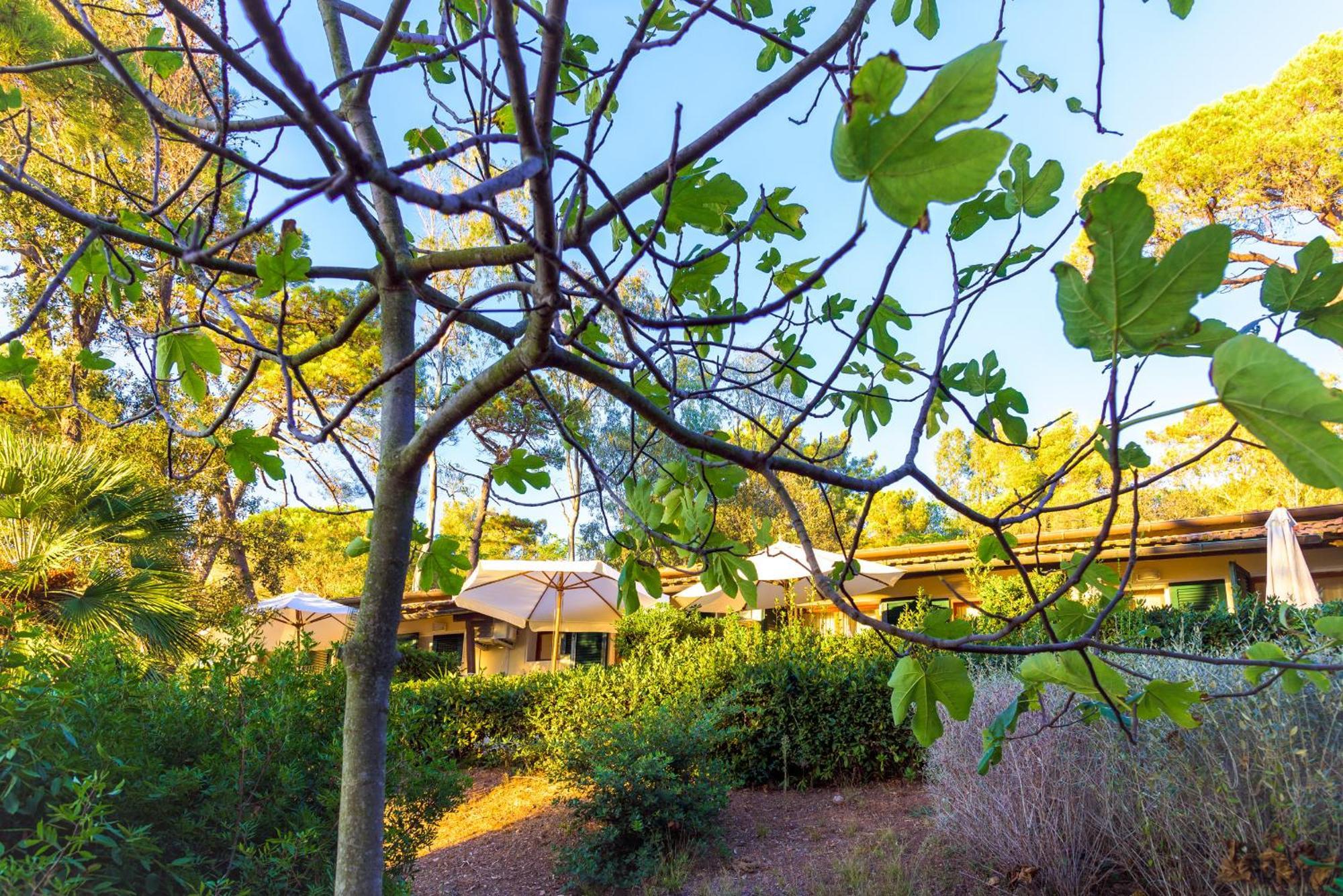 Hotel Villa Ottone Portoferraio Bagian luar foto